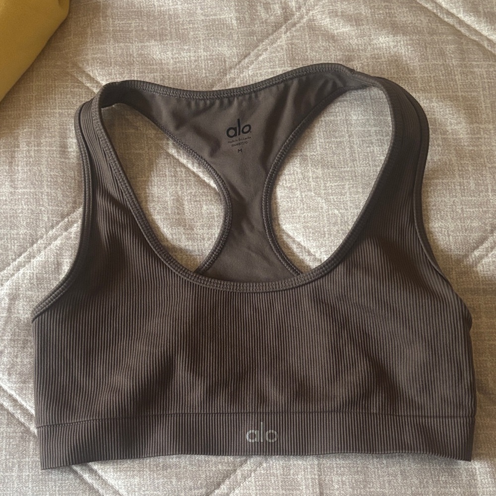 ALO Yoga Dark Brown Ribbed Sports Bra